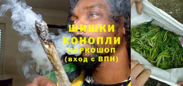 spice Арсеньев