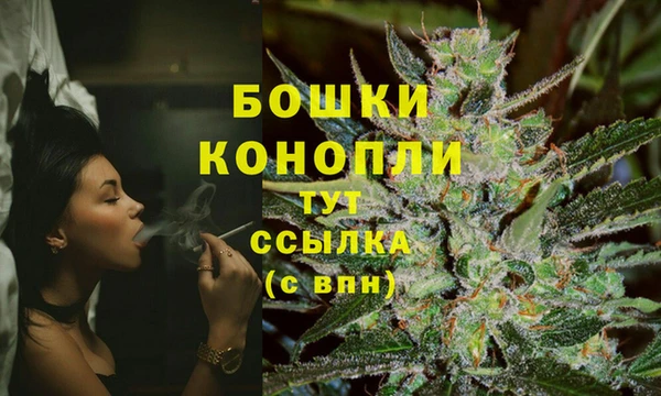 spice Арсеньев