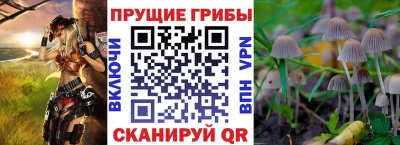 Галлюциногенные грибы Magic Shrooms  Аткарск 